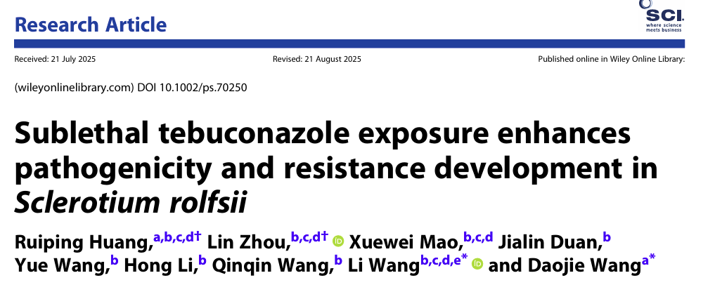 ���ߵ����˿��ֽ�