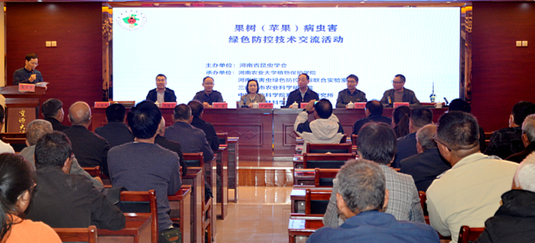 ���ߵ����˿��ֽ�