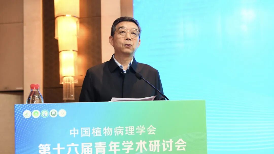 在线德州扑克现金