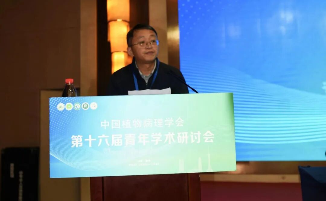 在线德州扑克现金