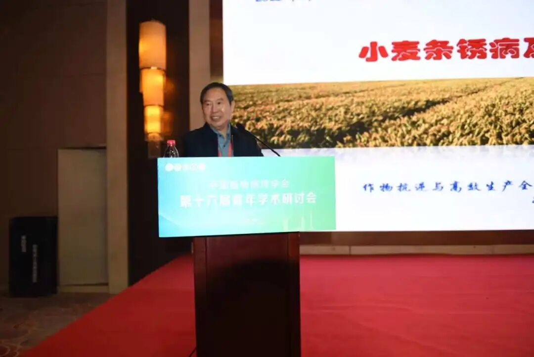 在线德州扑克现金