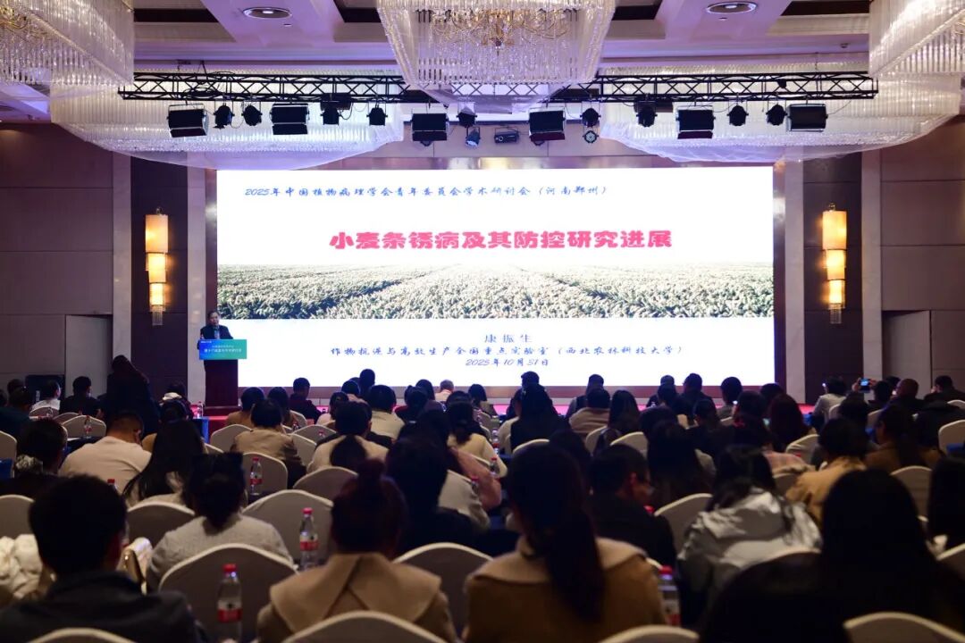 在线德州扑克现金