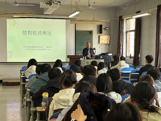 ���ߵ����˿��ֽ�