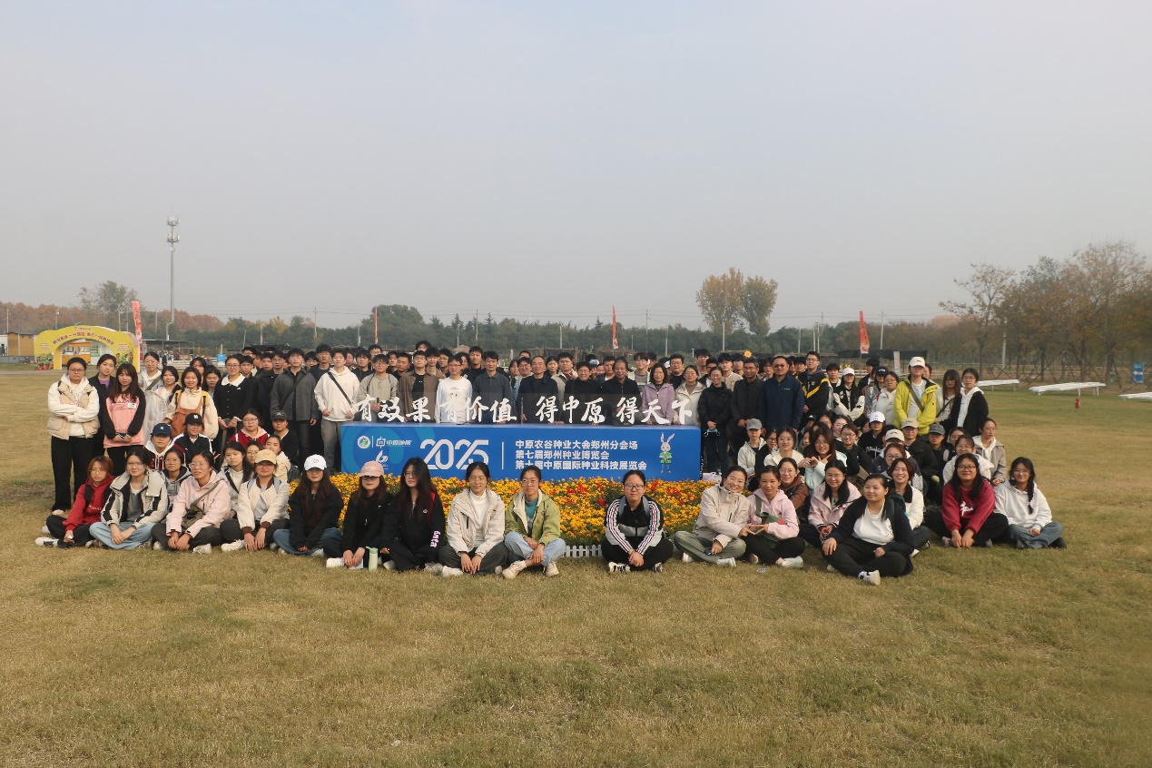 ���ߵ����˿��ֽ�