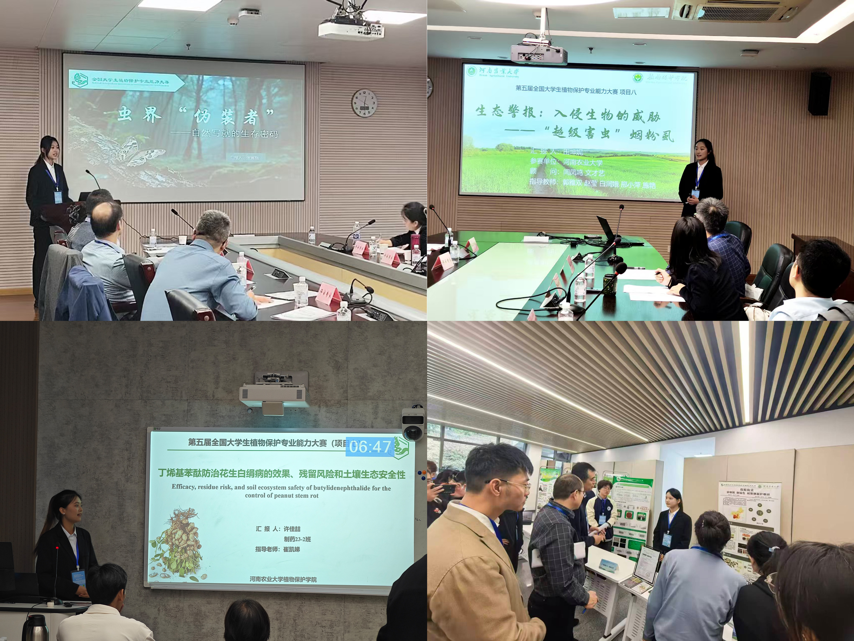 ���ߵ����˿��ֽ�