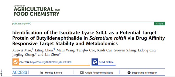 ���ߵ����˿��ֽ�