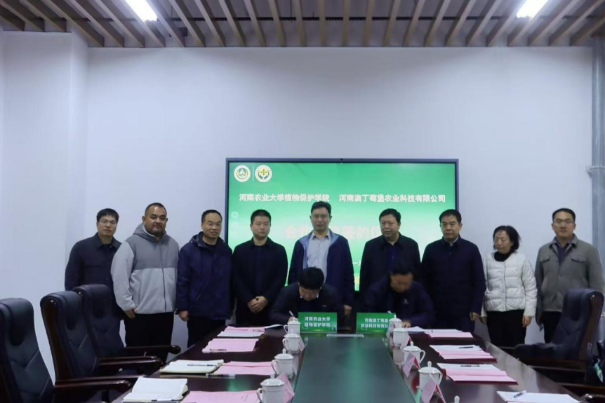 ���ߵ����˿��ֽ�