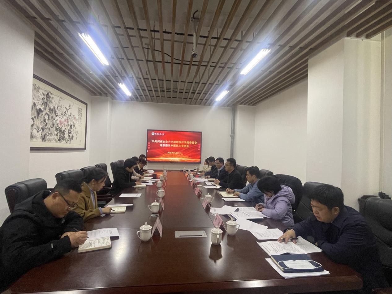 ���ߵ����˿��ֽ�