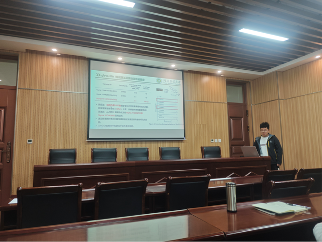 ���ߵ����˿��ֽ�