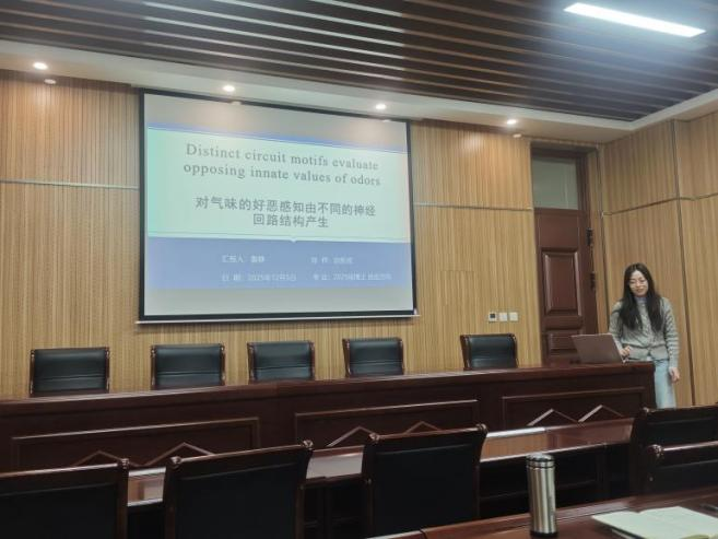 ���ߵ����˿��ֽ�