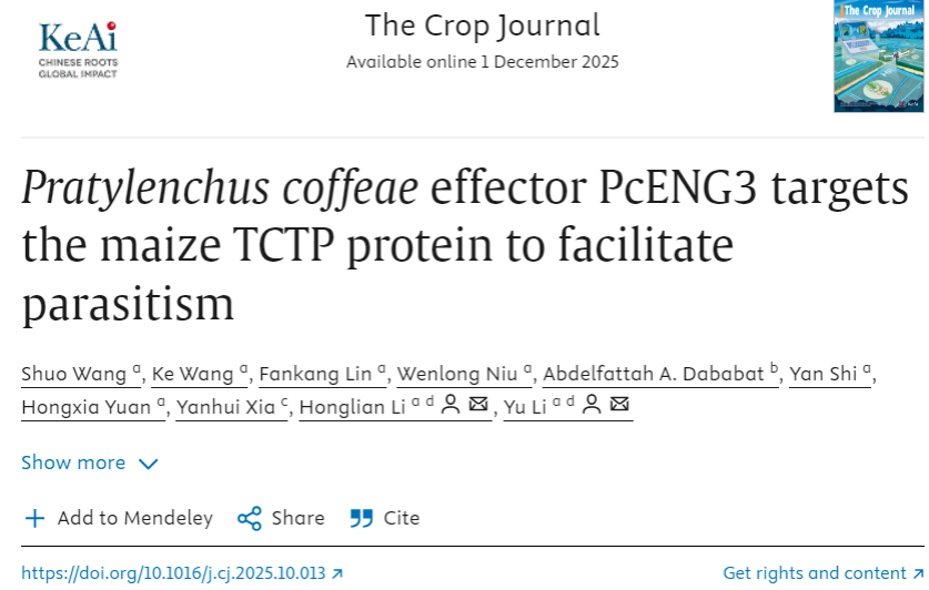 ���ߵ����˿��ֽ�