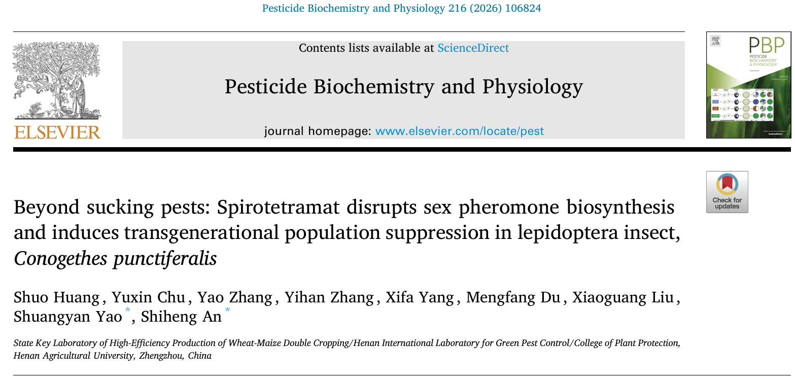 ���ߵ����˿��ֽ�