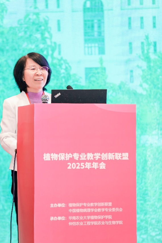 ���ߵ����˿��ֽ�