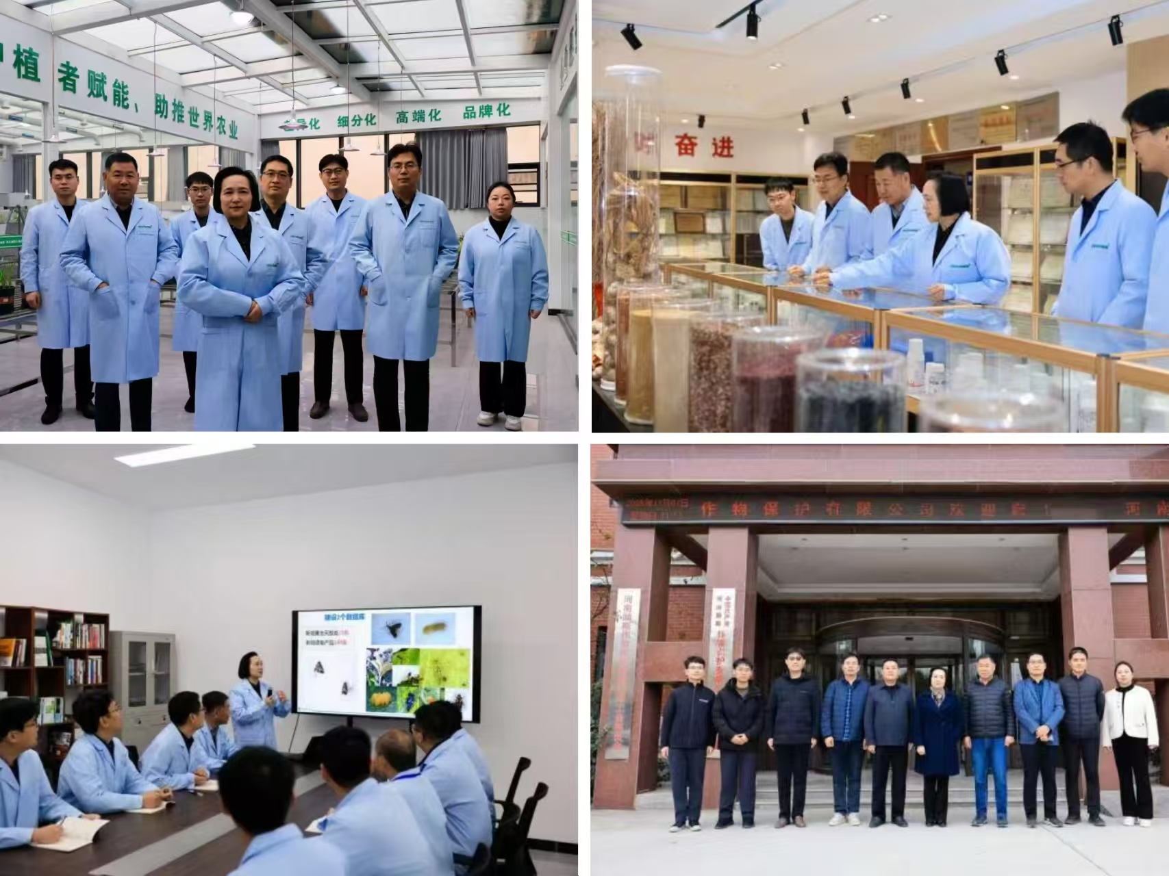 ���ߵ����˿��ֽ�