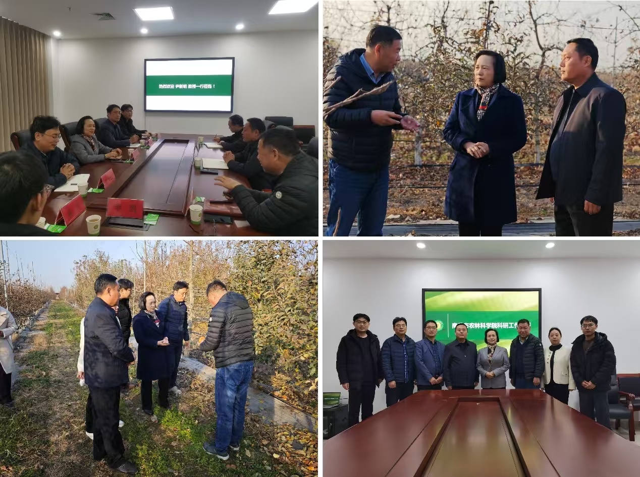 ���ߵ����˿��ֽ�