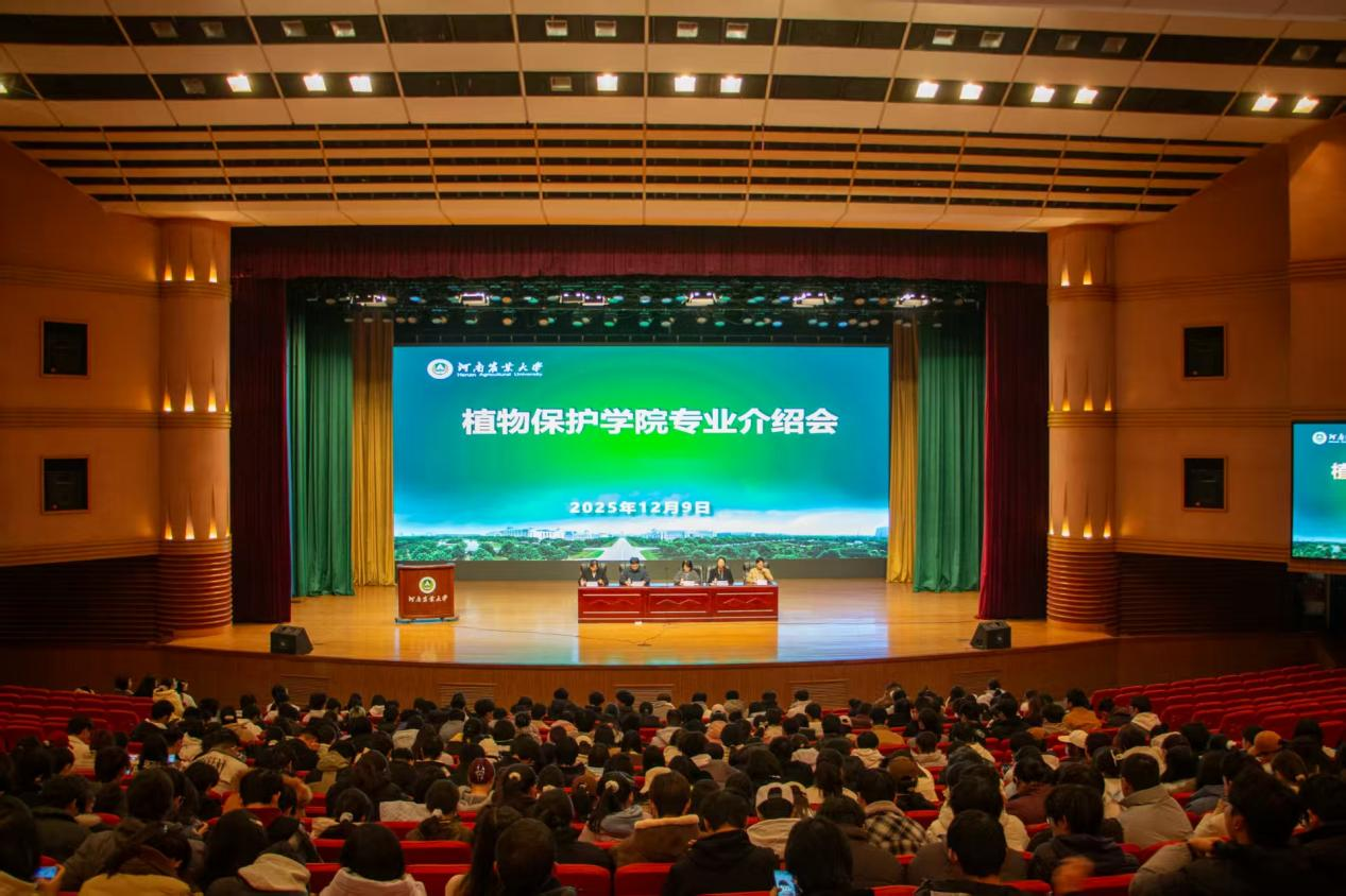 ���ߵ����˿��ֽ�