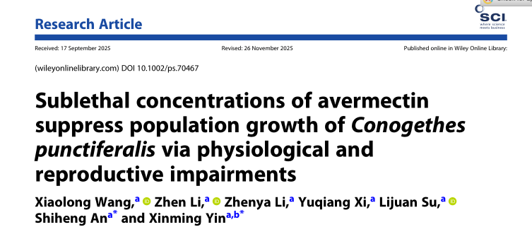 ���ߵ����˿��ֽ�