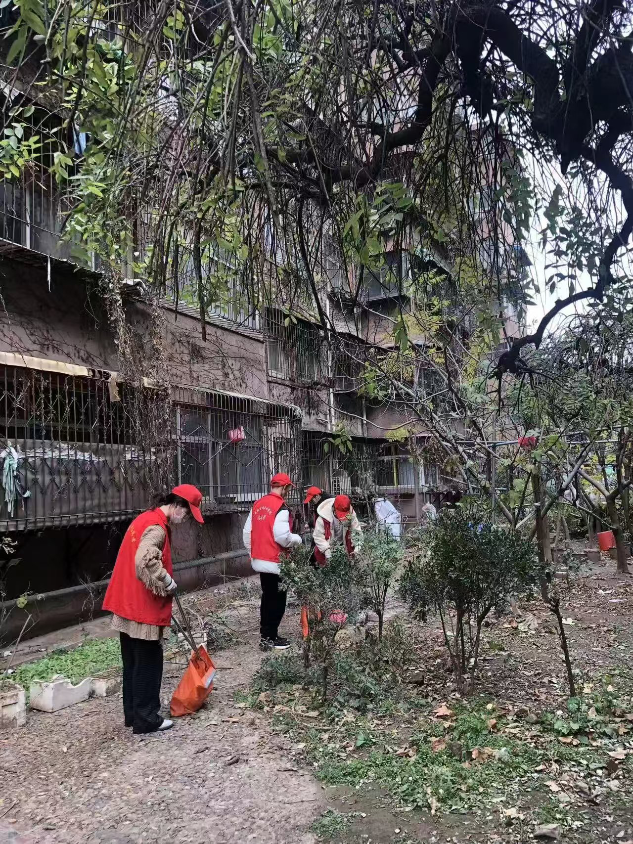 ���ߵ����˿��ֽ�