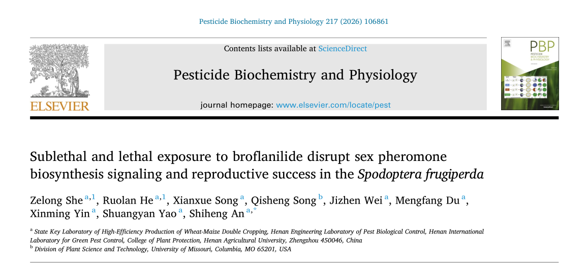 ���ߵ����˿��ֽ�