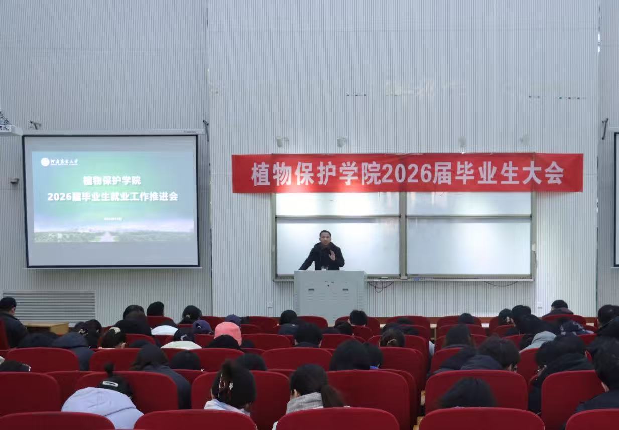 ���ߵ����˿��ֽ�