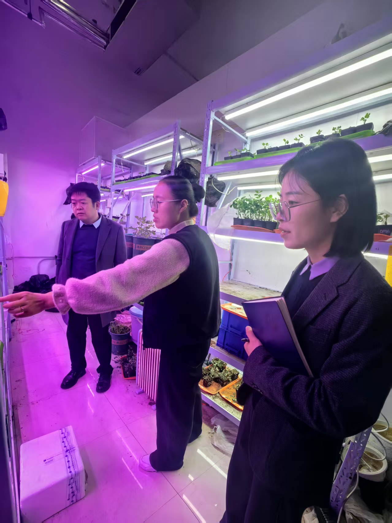 ���ߵ����˿��ֽ�