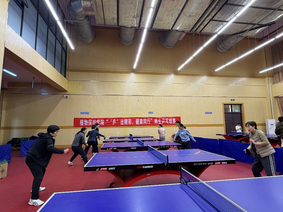 ���ߵ����˿��ֽ�