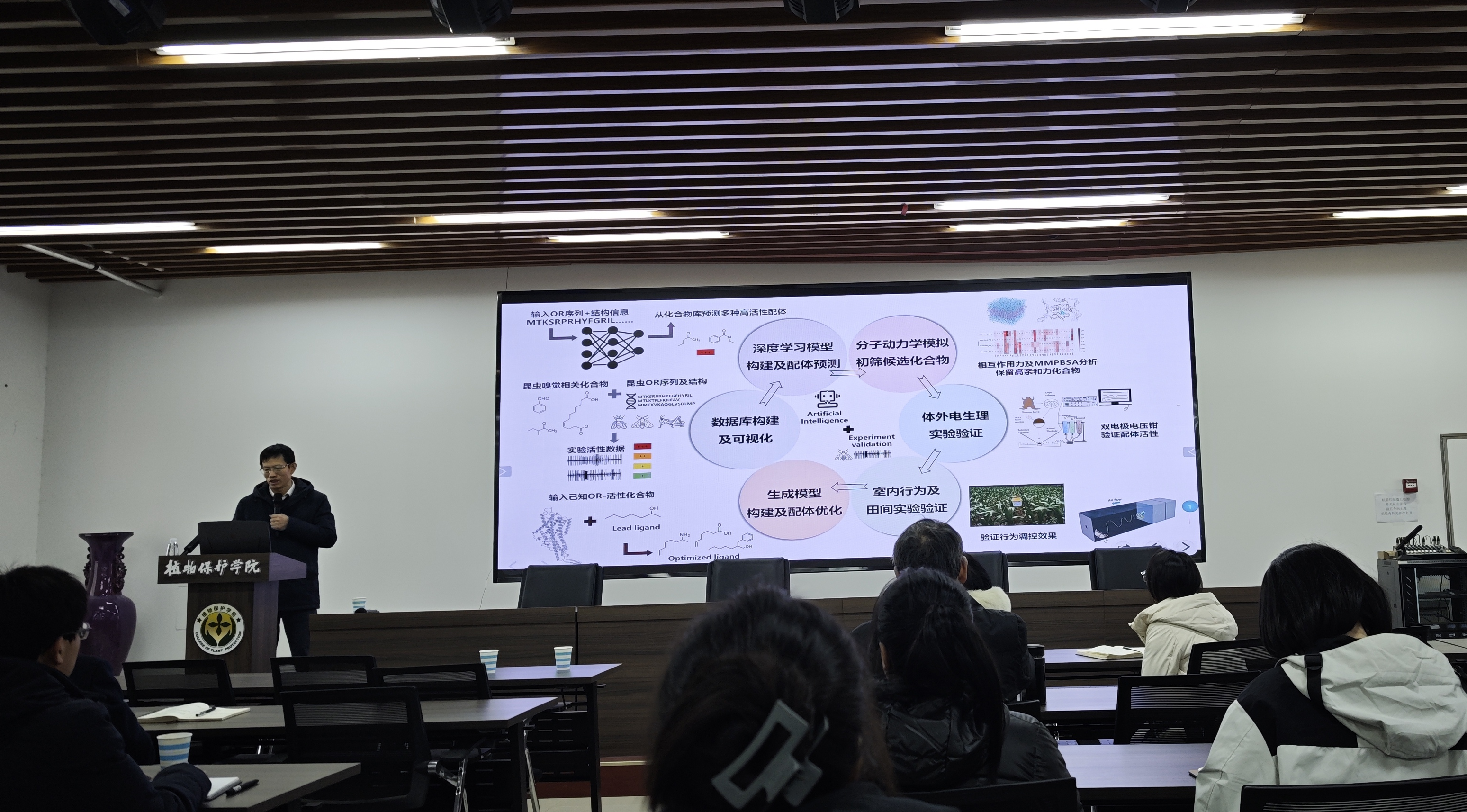 ���ߵ����˿��ֽ�