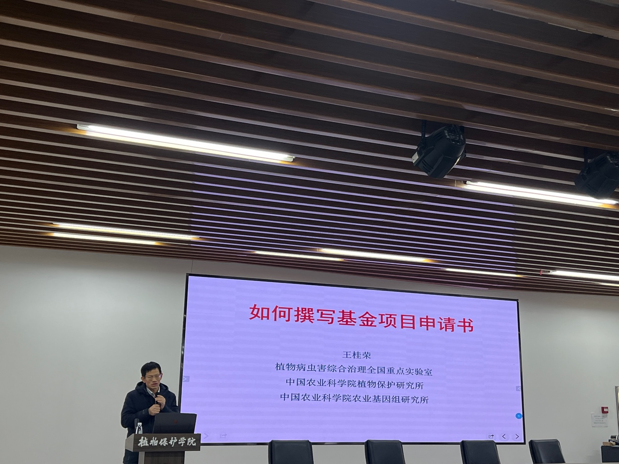 ���ߵ����˿��ֽ�