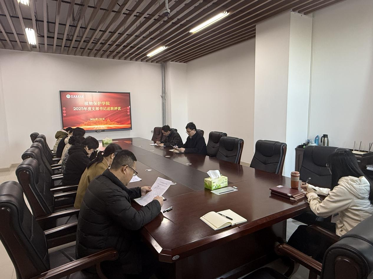 ���ߵ����˿��ֽ�