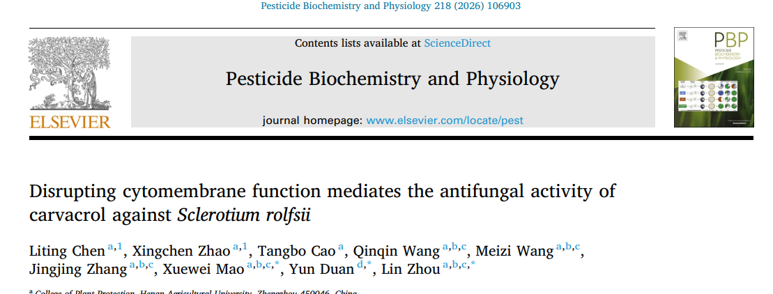 ���ߵ����˿��ֽ�