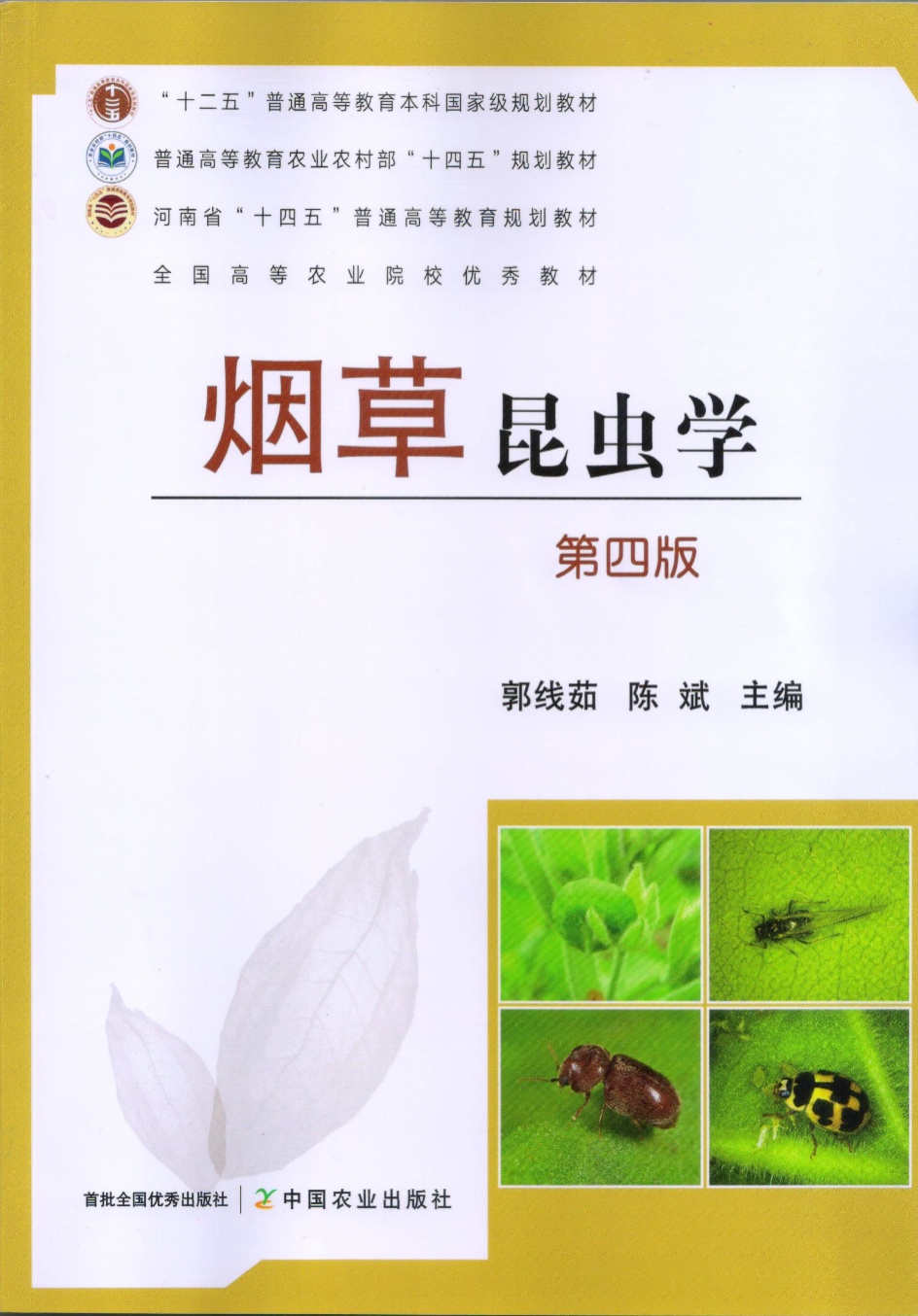 ���ߵ����˿��ֽ�