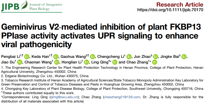 ���ߵ����˿��ֽ�