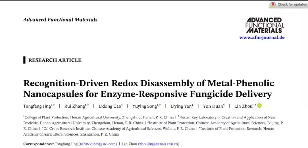 在线德州扑克现金