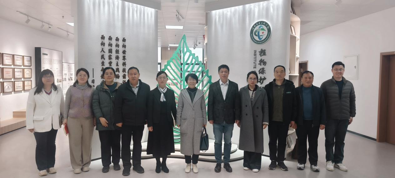 ���ߵ����˿��ֽ�