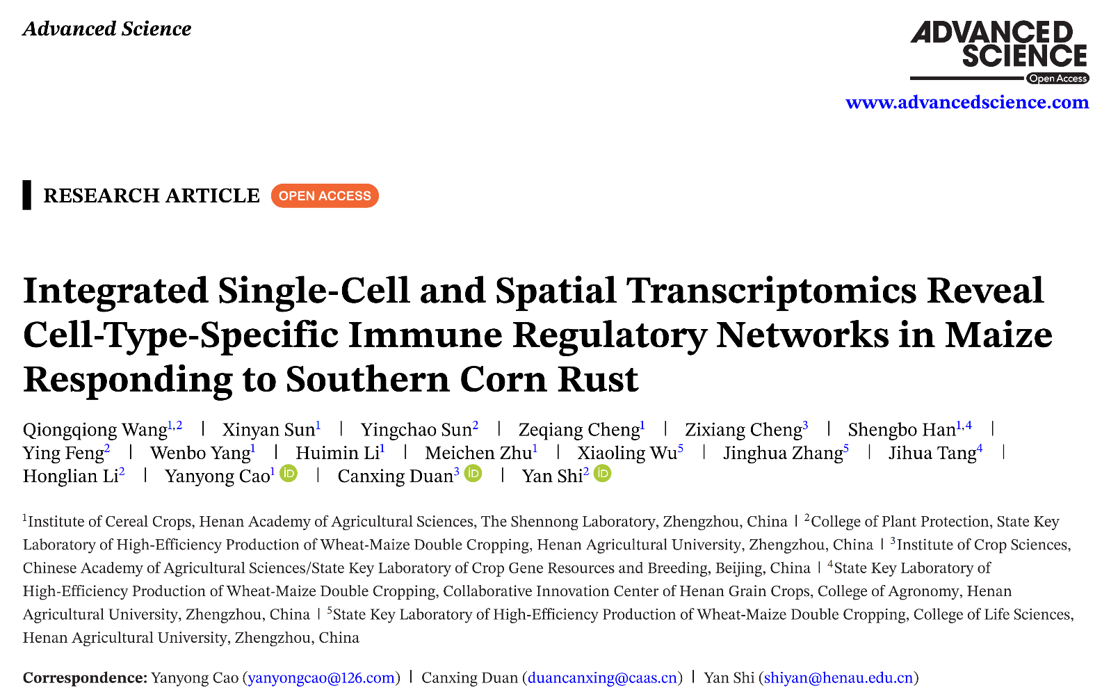 ���ߵ����˿��ֽ�