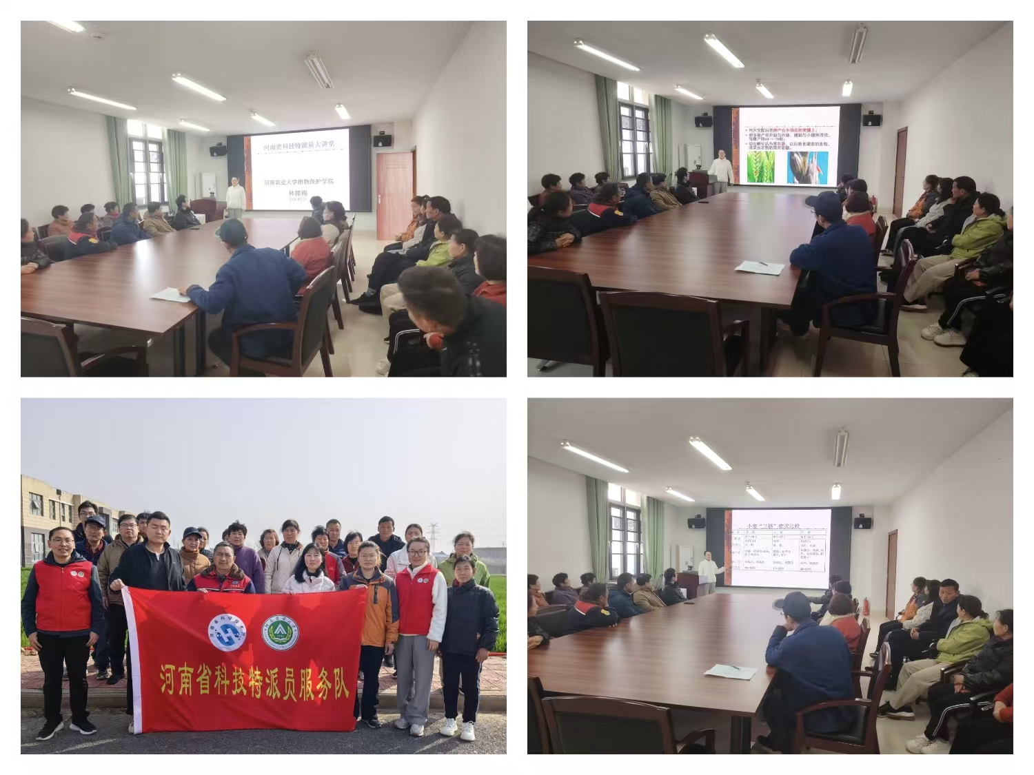 ���ߵ����˿��ֽ�