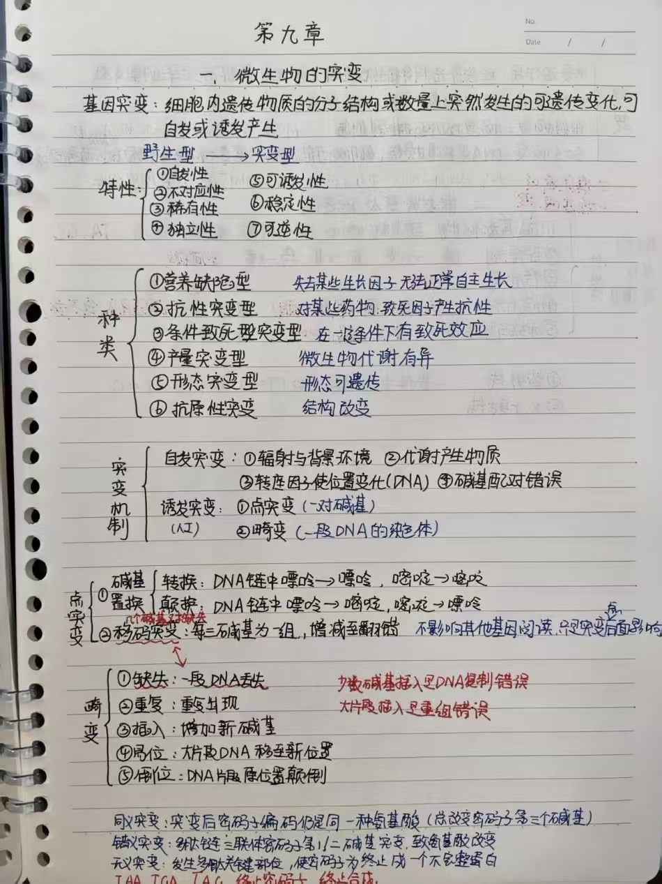 在线德州扑克现金