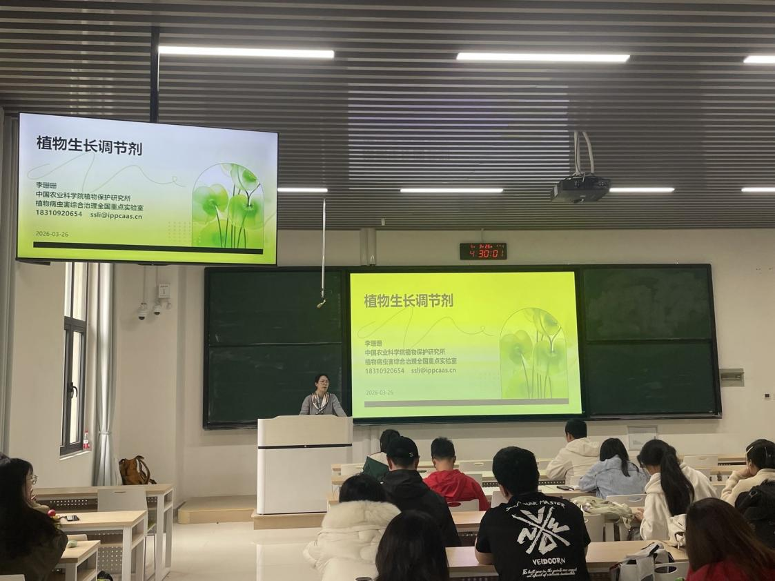 ���ߵ����˿��ֽ�