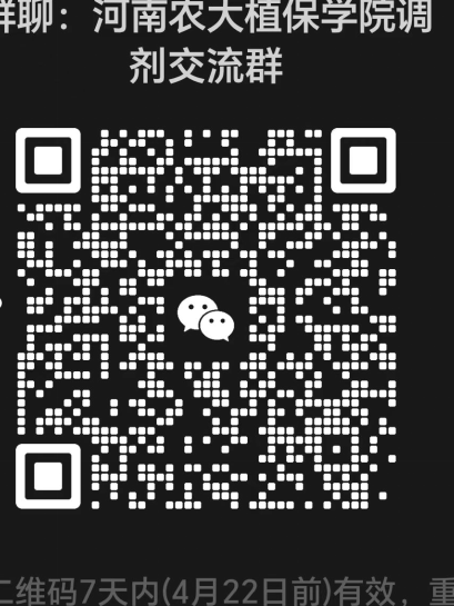 ���ߵ����˿��ֽ�