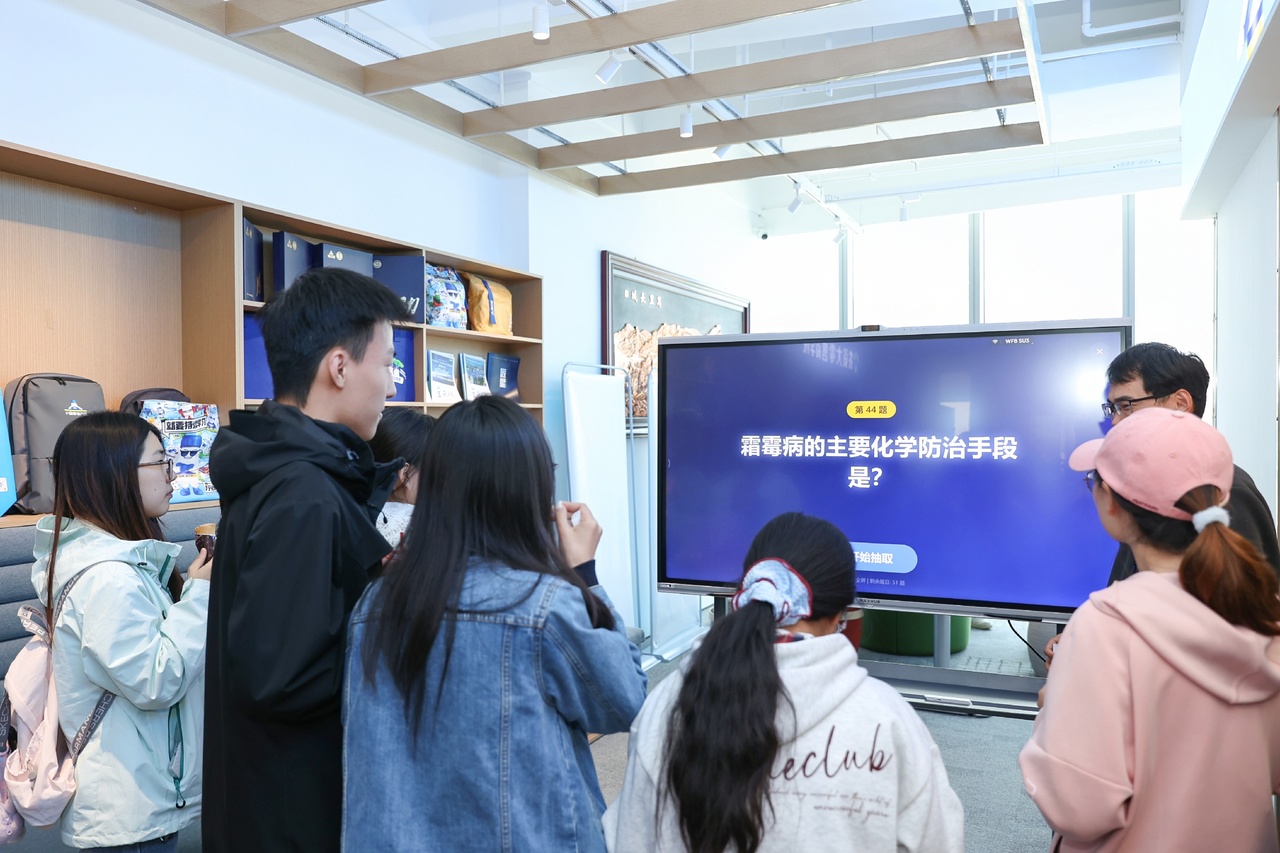 ���ߵ����˿��ֽ�