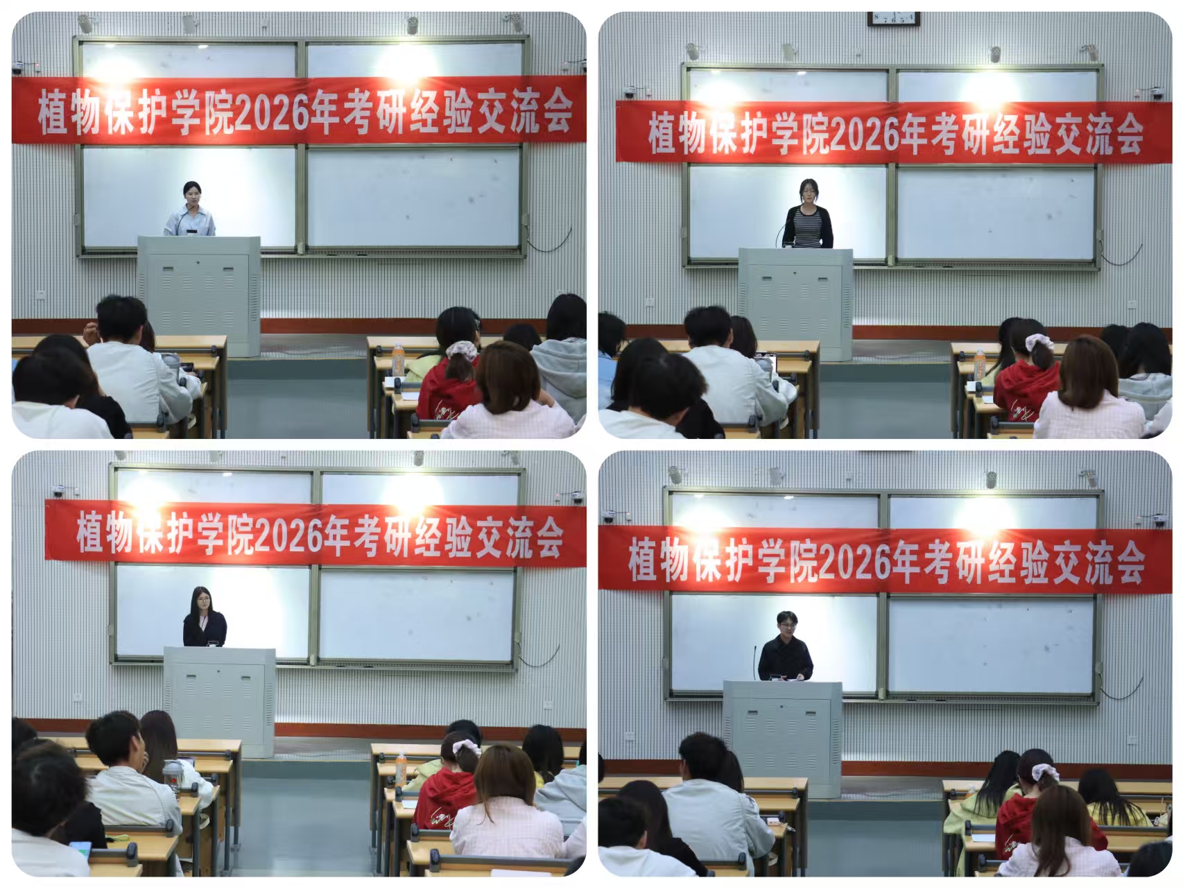 ���ߵ����˿��ֽ�