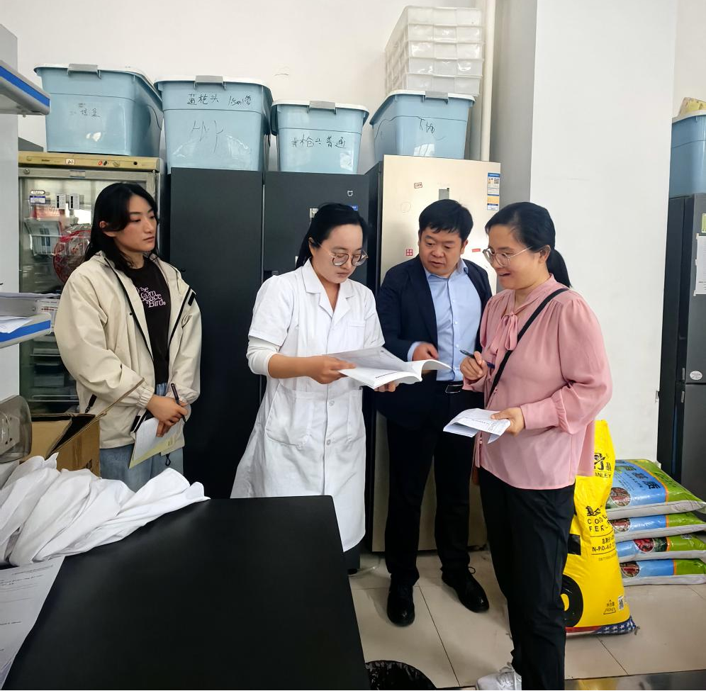 ���ߵ����˿��ֽ�