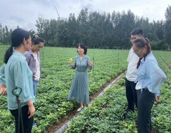 在线德州扑克现金